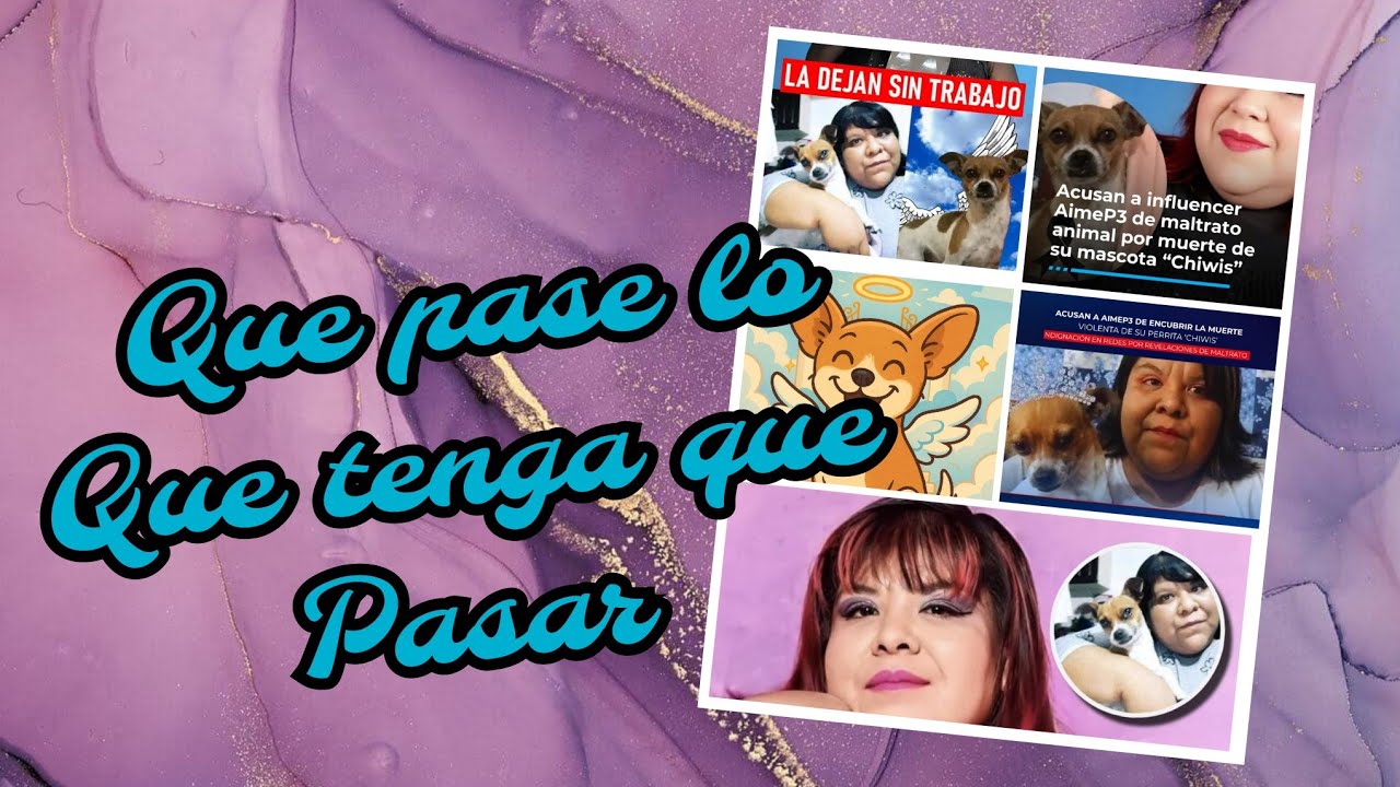 JUSTIFICÁNDO  LO QUE PASO // AIMEP3