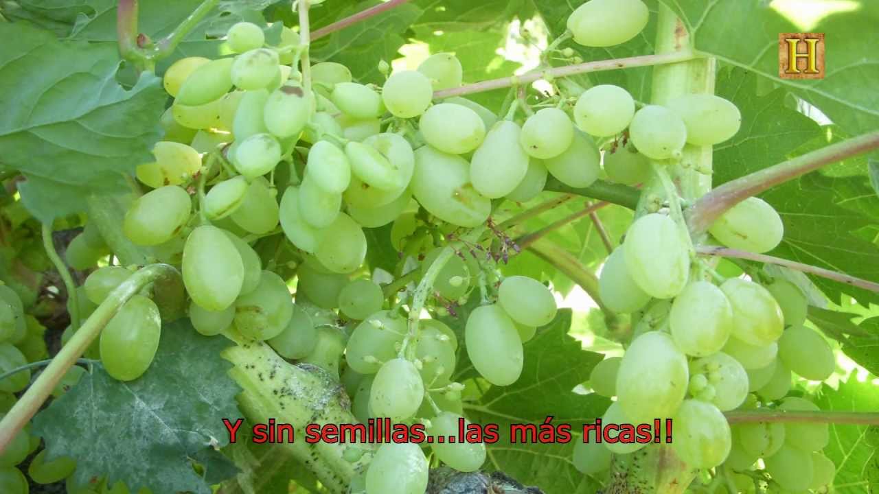 Camilo Sesto - Un a&ntilde;o