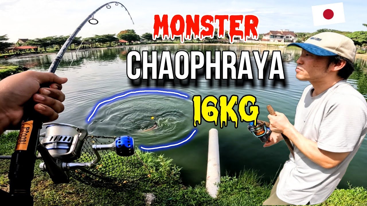 Kolam Seksyen 24 | 第24節 釣り堀 | I'm meet Oppa Japanese | Tarik Chaophraya 16KG