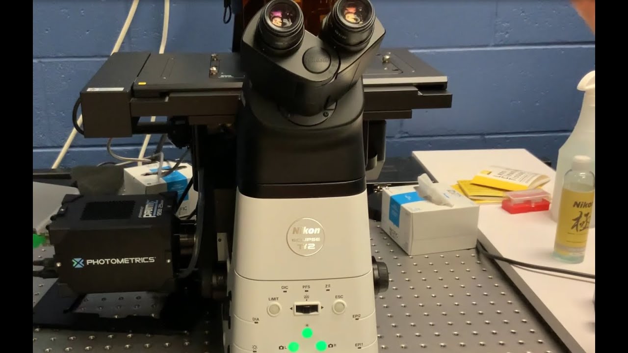 Nikon Eclipse Ti2-E Inverted Motorized Research Microscope | MSU PHM/TOX Microscopy Core