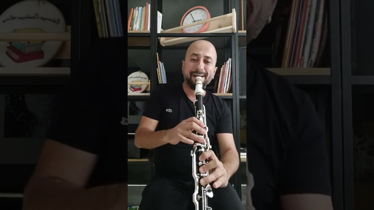 Pembe Panter & Hatasız Kul Olmaz by Öner Mustul / Klarnet Cover