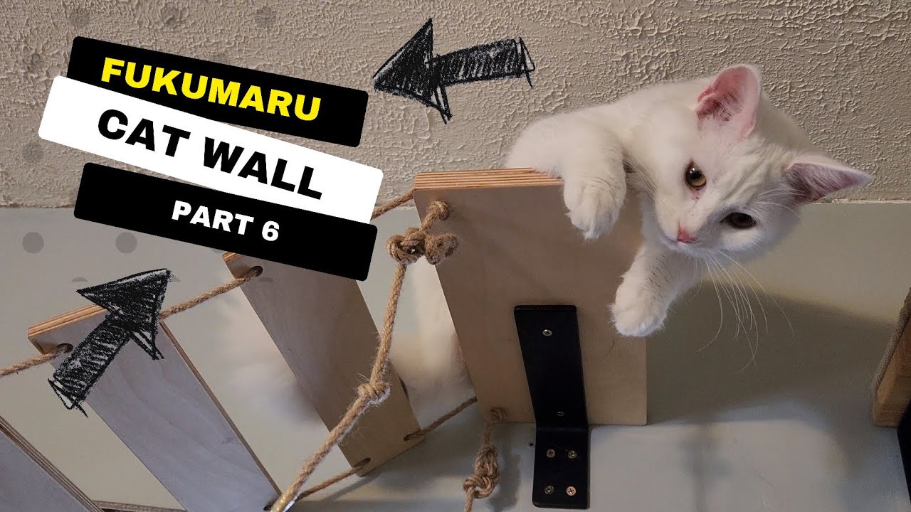 We Are Building A Fukumaru Cat Furnature Wall: Part 6 Cat Bridge