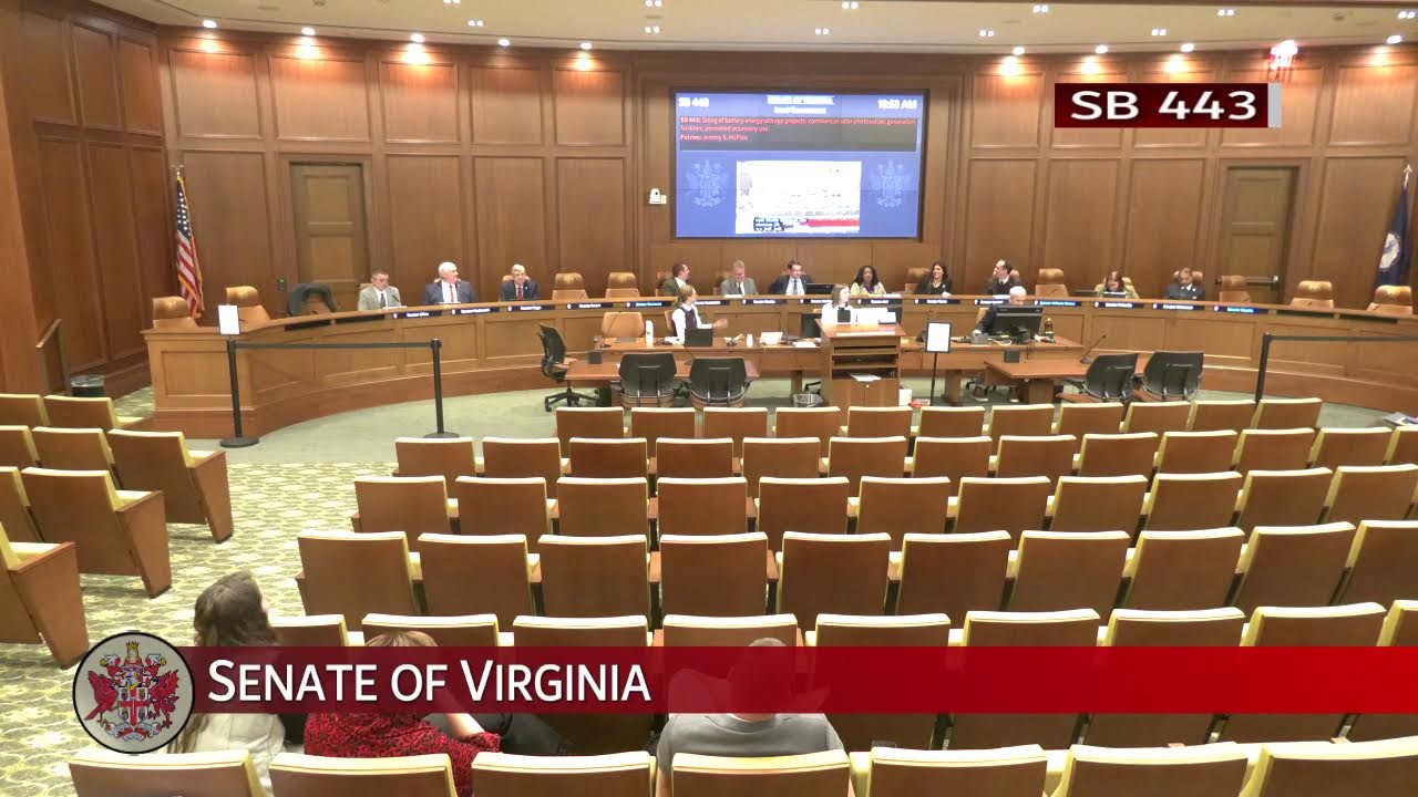 Senate of Virginia: Local Government on 2026-01-26 [Finished]