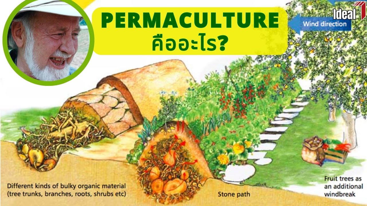 [ENG-CC] : EP125 What is Permaculture? - เพอร์มาคัลเจอร์คืออะไร