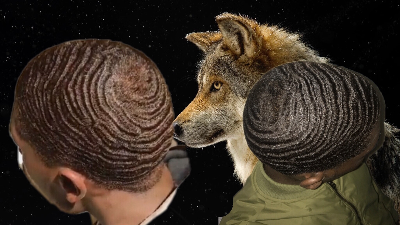 360 waves:How to lay waves down while wolfing