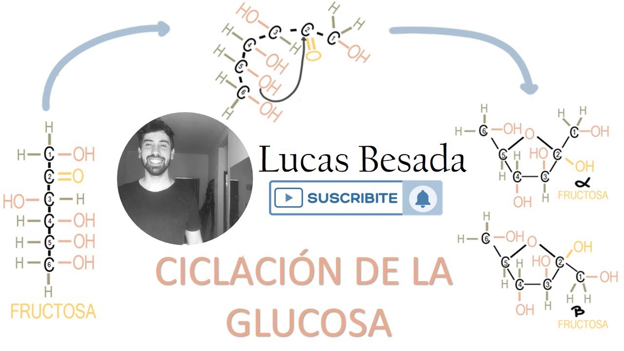 ¿Cómo se cicla la glucosa en medios acuosos?