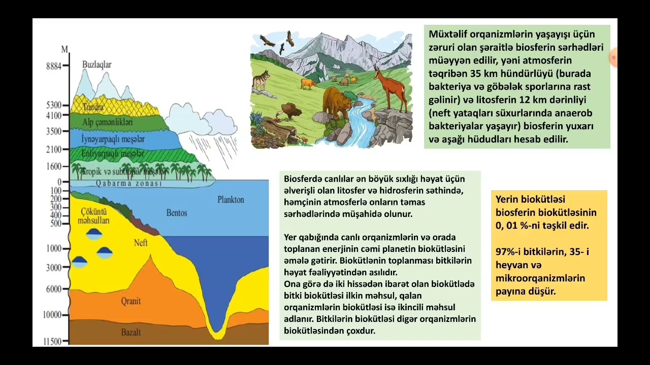 Biosfer ( dərs izahı)