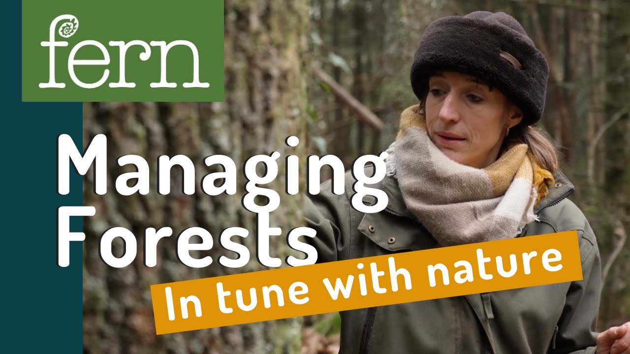 Managing forests for the future: the benefits of close-to-nature forestry