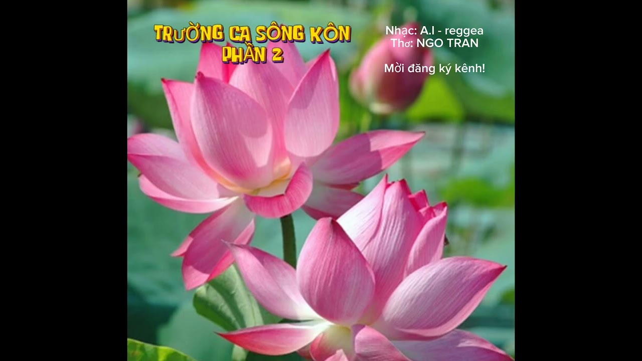 149.TRƯỜNG CA SÔNG KÔN 2 (reggea)| NGO TRAN - VIDEO MUSIC 13/02/2026