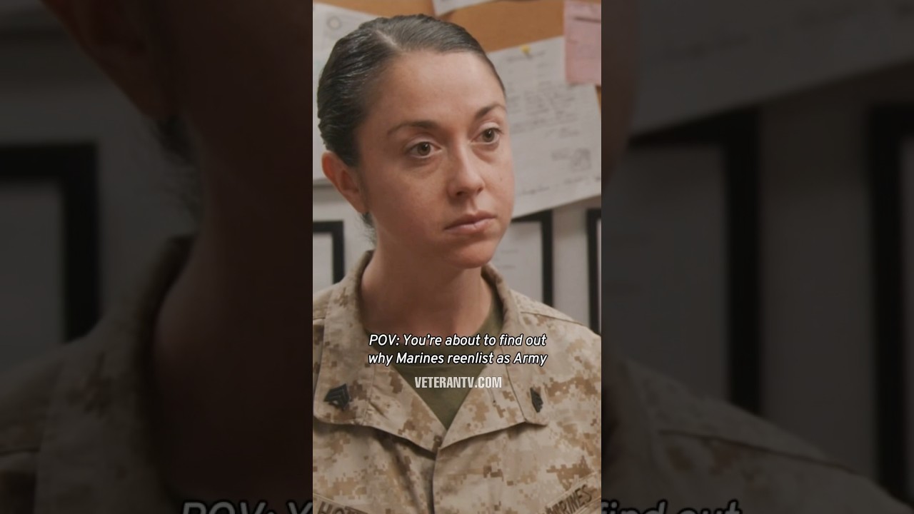«Ставка» на сайте veterantv.com