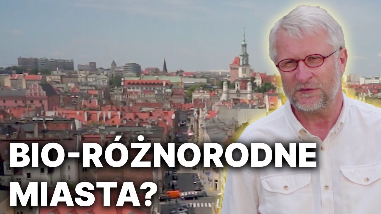 Bioróżnorodne miasta - prof. Piotr Tryjanowski, Wydział Medycyny Weterynaryjnej i Nauk o Zwierzętach