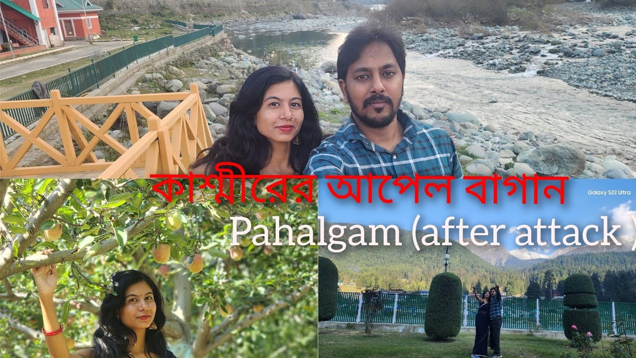 Pahalgam after attack, Apple garden of Kashmir পহেলগাঁও আপেল বাগান #travelvlog #views #kashmir #4k 