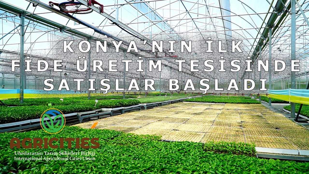 KONYA FİDE