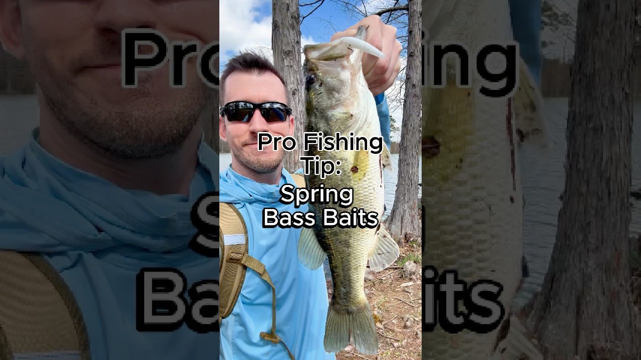 3 Top Spring Bass Fishing Baits #bassfishing #fishing #fishingtips