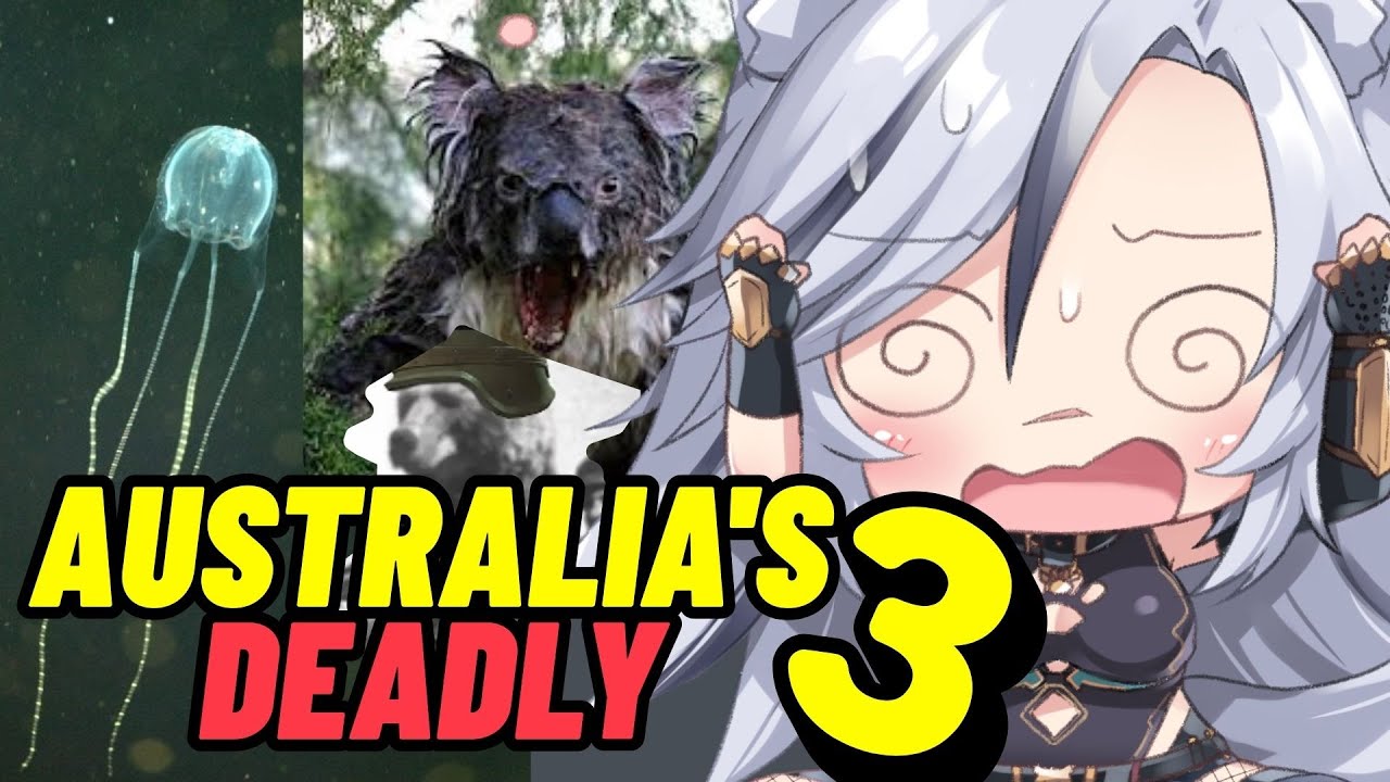 AUSTRALIA, EVEN THE KOALAS?! More Parz React