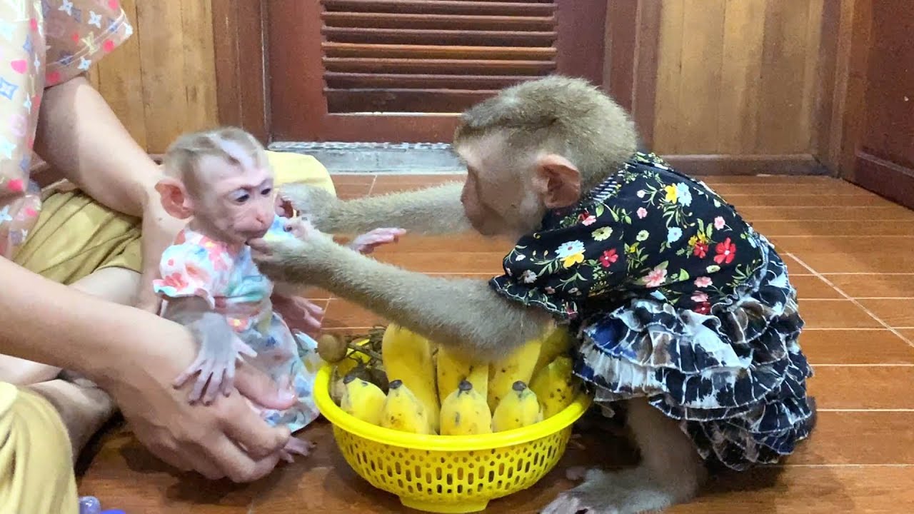 [Old Video] Jessie Is A Very GoodFit, More C0mfy With Judee