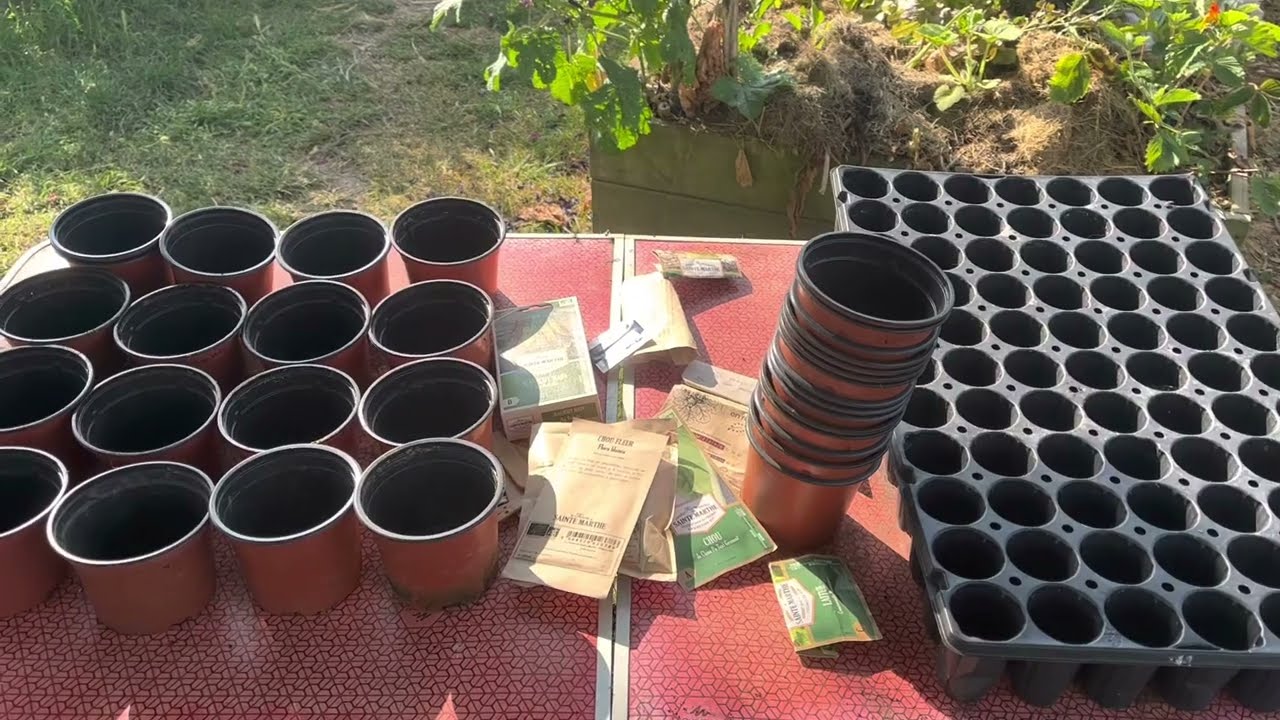 5 semis à faire en juin-juillet