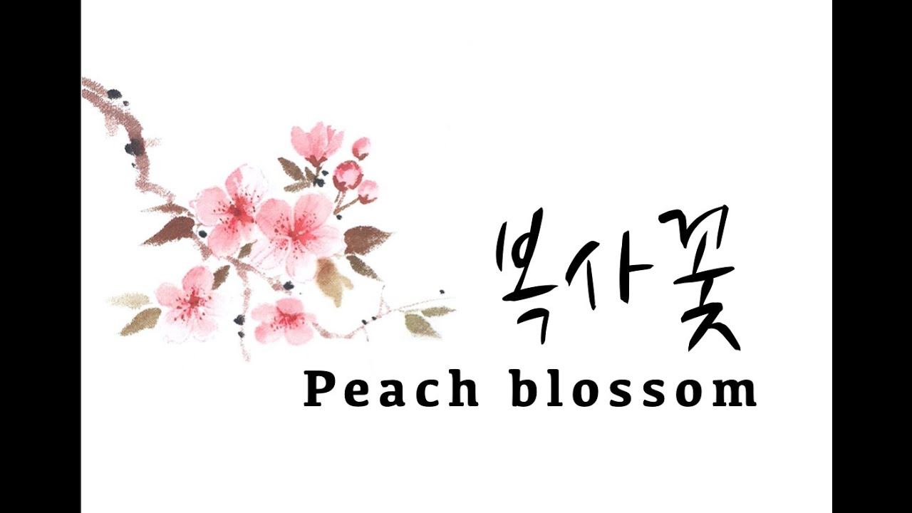 [초미아트] 천아트 강의 : 복사꽃 / Peach blossom [Lecture]