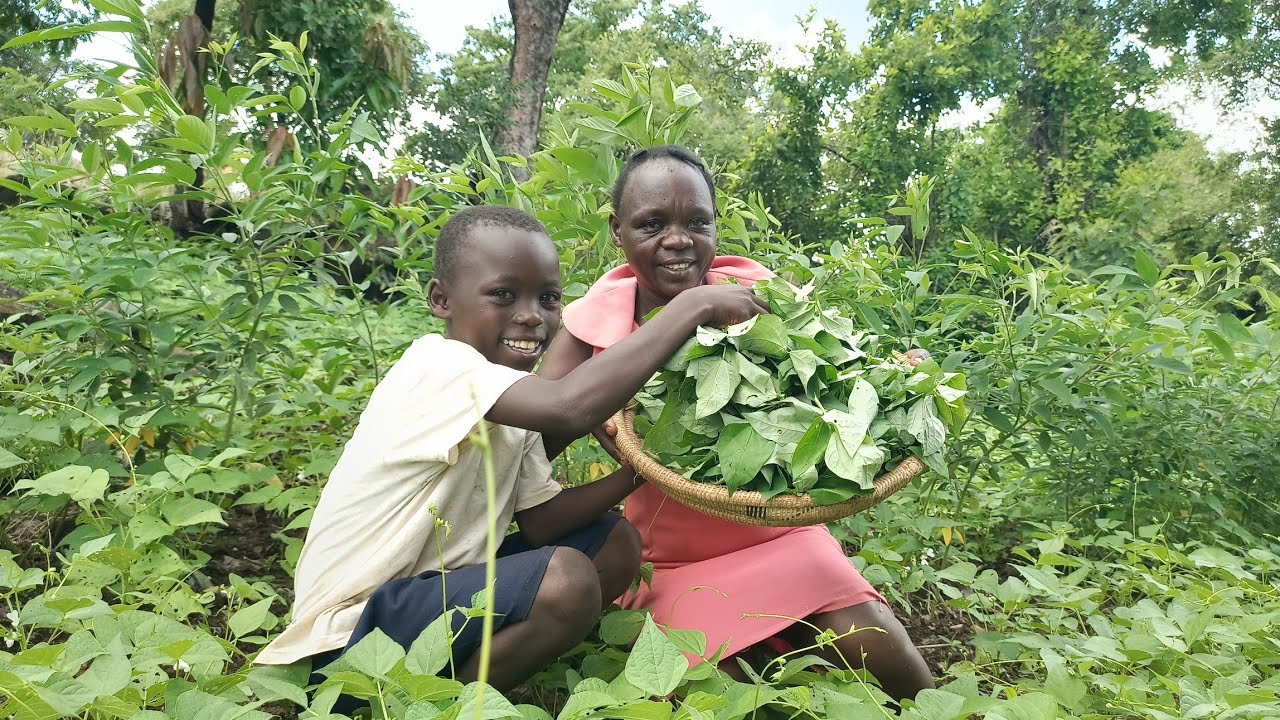 African Village life and Cooking, delicious vegetables eggs and rice for breakfast