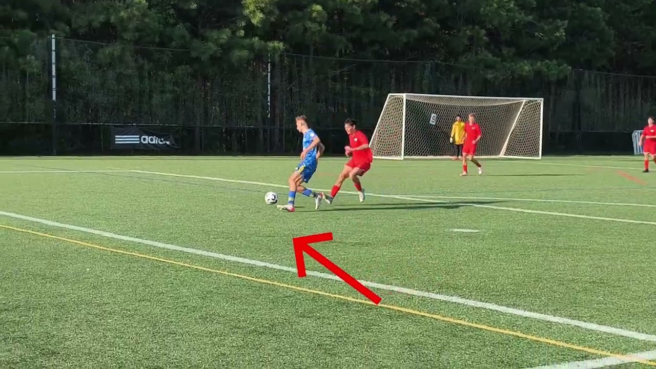shahar's skills clip