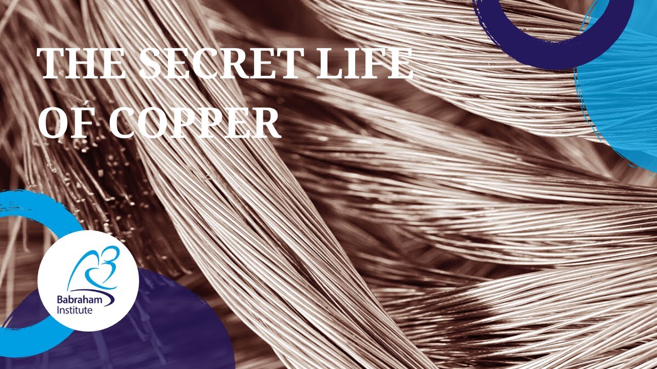 The secret life of copper: From kinases to cancer