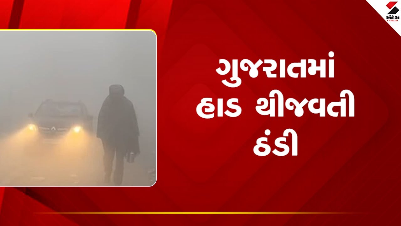 Gujarat | ગુજરાતમાં હાડ થીજવતી ઠંડી | Cold Wave | Winter Update | Gujarat
