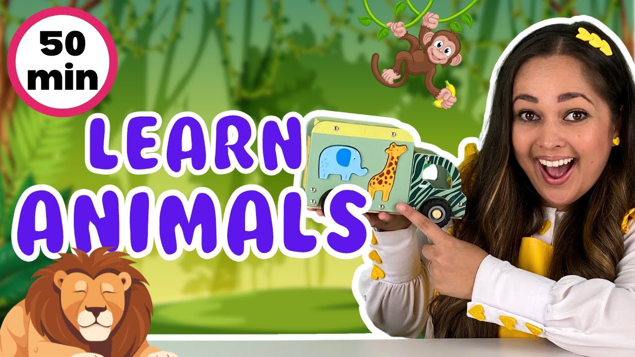 Learn Animals For Kids | Animal Songs, Old MacDonald, 5 Little Monkeys | Toddler Learning Videos