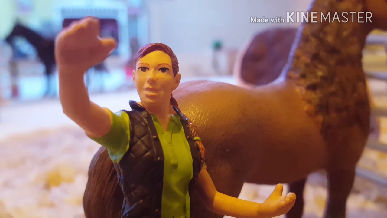 [SCHLEICH] FMA Manchester krank...Longieren und frei laufen lassen#66