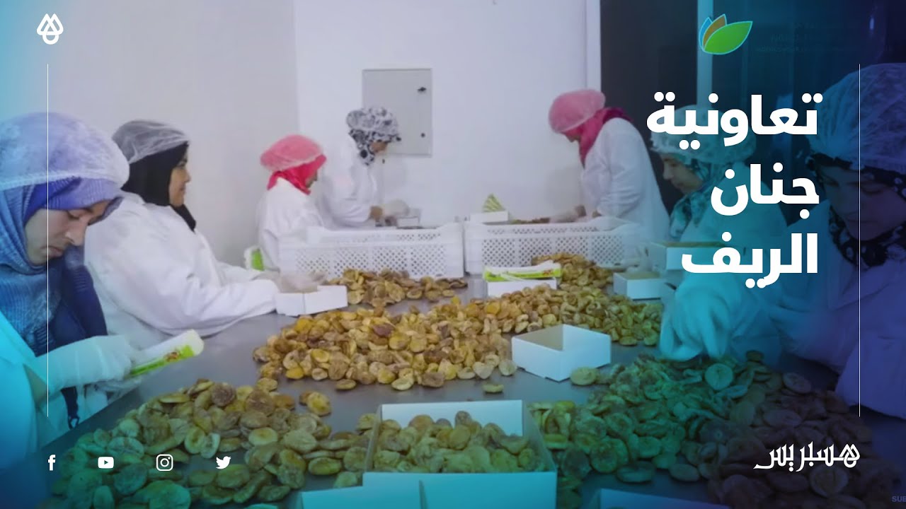تعاونية جنان الريف .. مشروع غرس أشجار التين وتهيئة وتجهيز وحدة التثمين بإقليم وزان