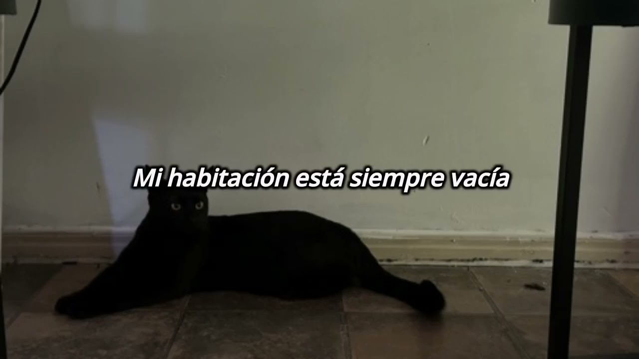Sweet Boy - this house is not the same (sub español)