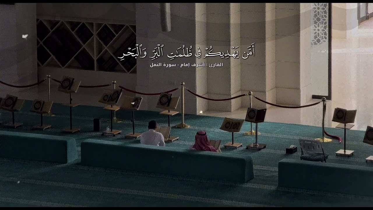 القارئ أشرف إمام.