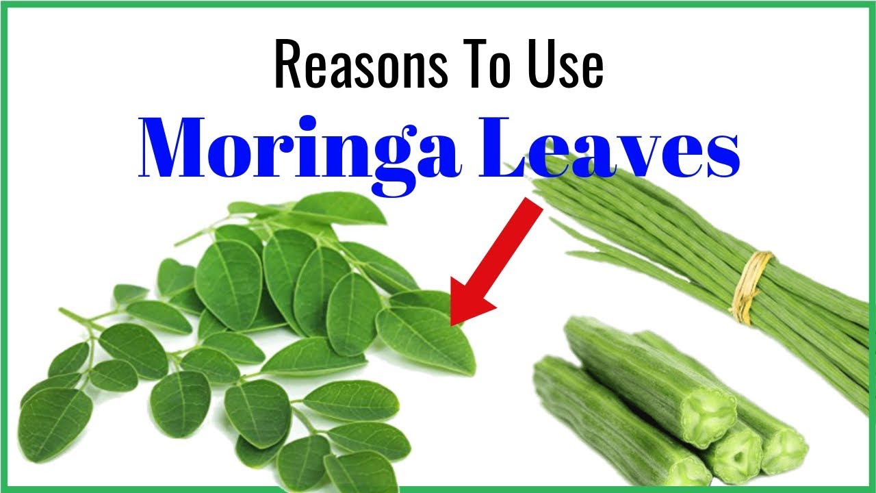 Moringa Leaves: 7 Incredible Health Benefits And Uses