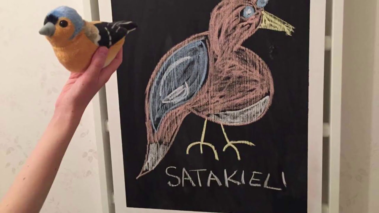 LAPSILLE:  Aapi ( lastenlaulu, jossa seikkailee vaari, ukki, pappa... isois&auml;! )