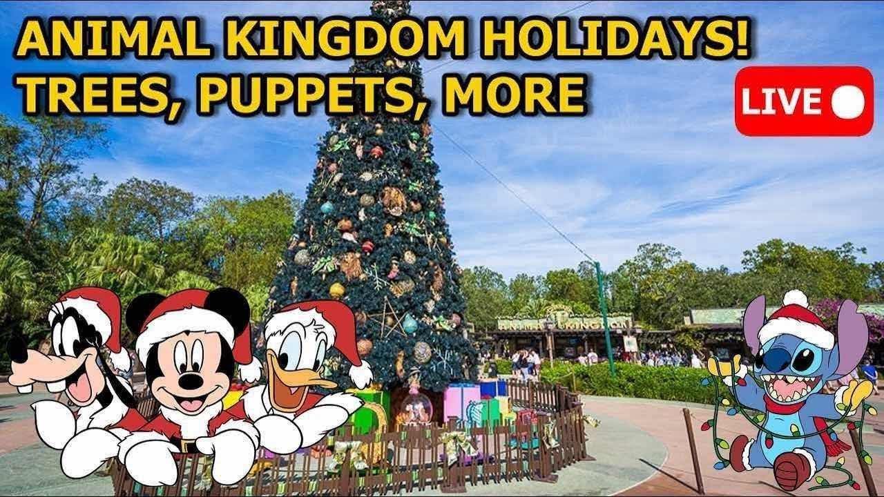 4 Park Challenge Attempt for Christmas! WDW Live!🎄✨