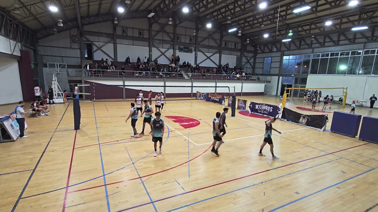 HYDRAS VS INMORTALES JR (1° FUERZA) (LMVT) (15/02/2026)