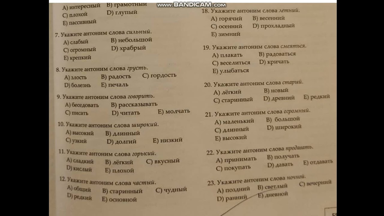 Rus dili. Testlər. Antonimlər
