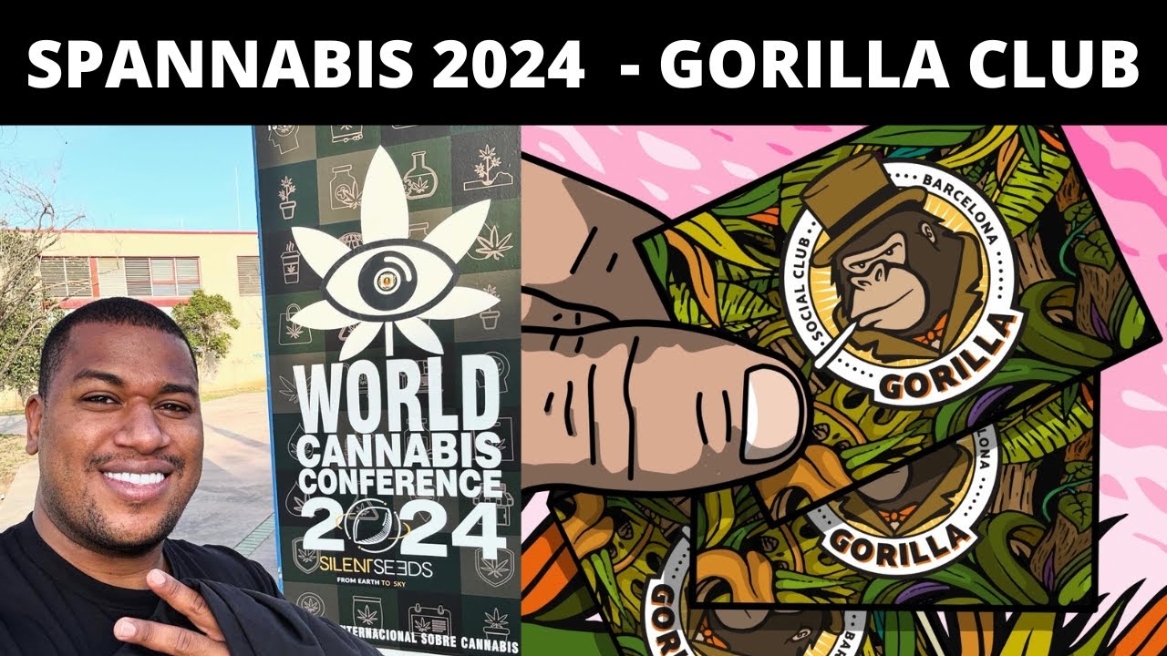 SPANNABIS 2024 - Conhecendo GORILLA SOCIAL CLUB Barcelona Parte 1/3