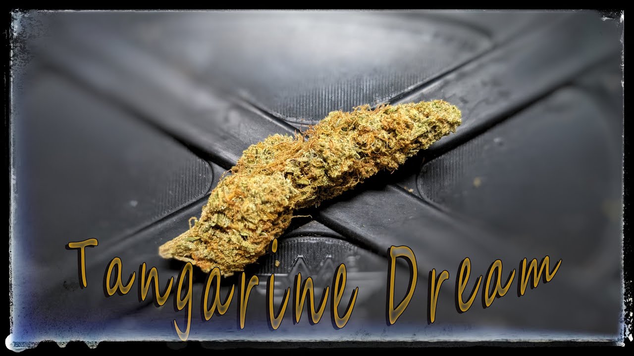 Strain Review - Tangerine Dream