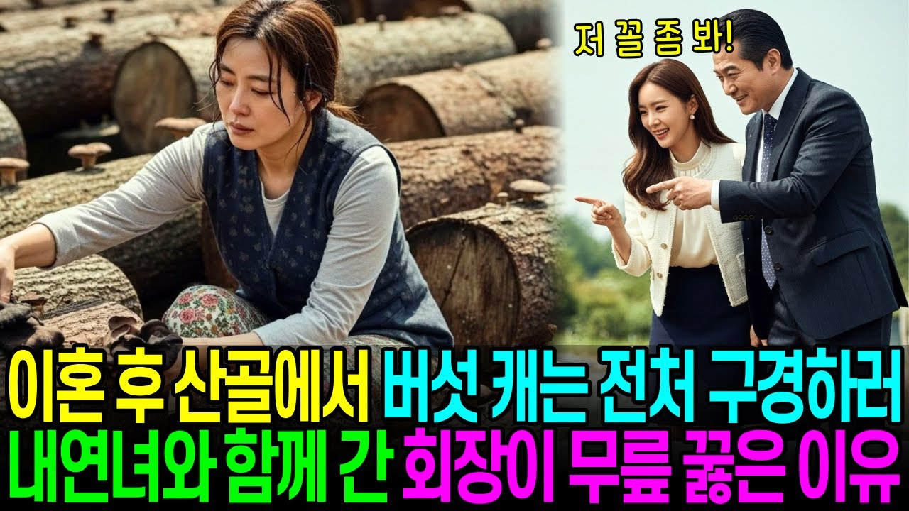 이혼 후 산골에서 버섯 캐는 전처 구경하러 내연녀와 함께 간 재벌 회장이 뒷목 잡고 쓰러지는데 라디오사연 | 사이다썰 | 복수드라마