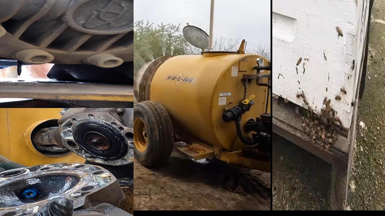 Is this Machine even WORTH fixing?  Bee Pollination update.