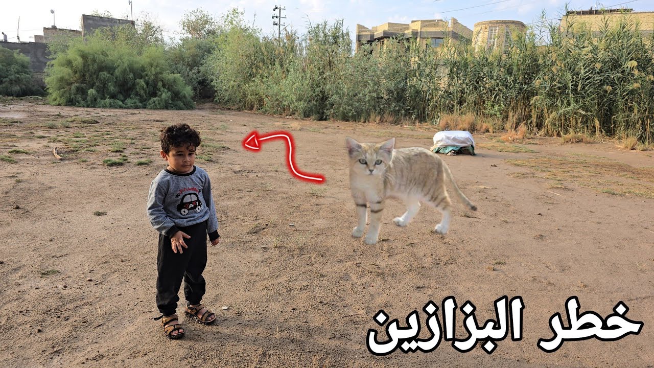 الكوري نفخت علية بزونة وصارت بي حالة غريبة😢💔