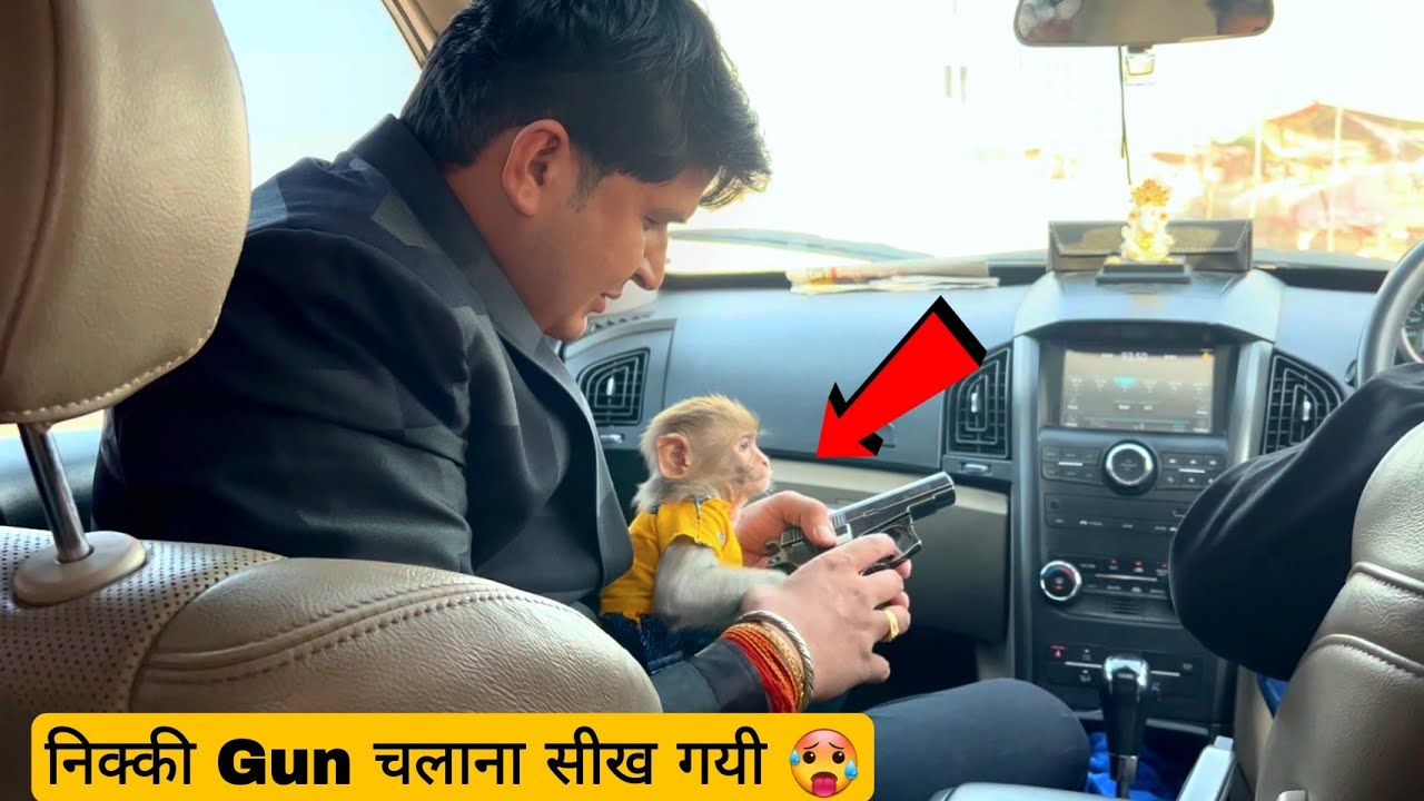 निक्की Gun चलाना सीख गयी// Sumit Cool Dubey
