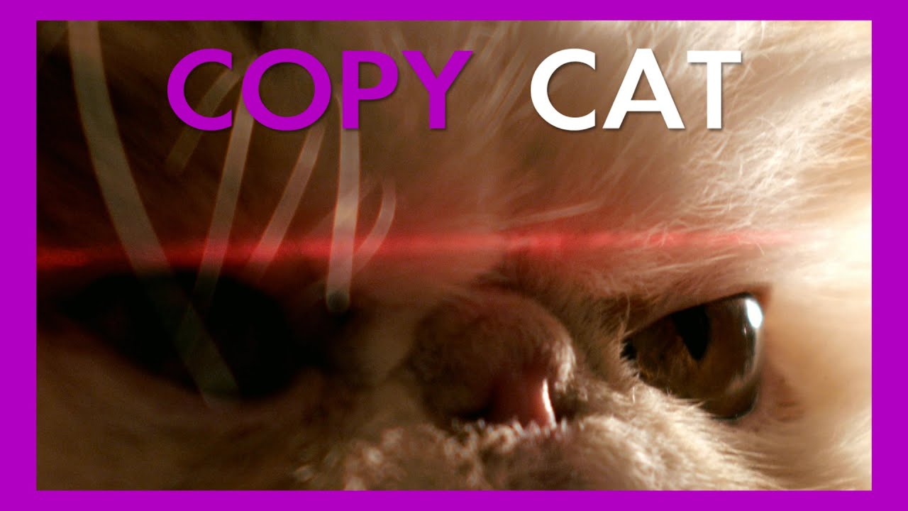 Copy Cat