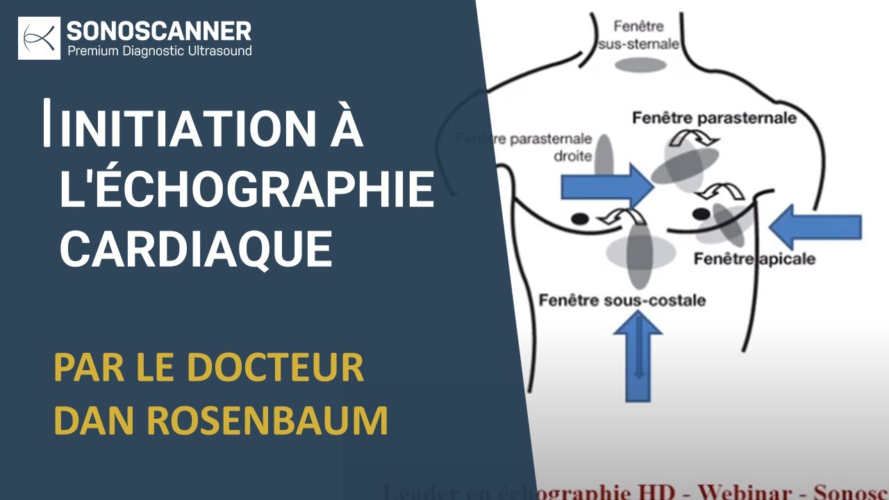 Webinar d'initiation à l'échographie cardiaque, avec le Docteur Dan Rosenbaum