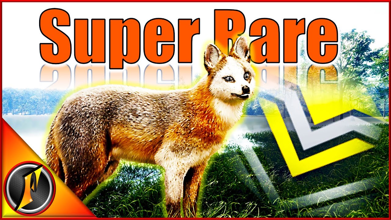 A Piebald Diamond Gray Fox?!? | Incredible Hunt on Mississippi Acres!