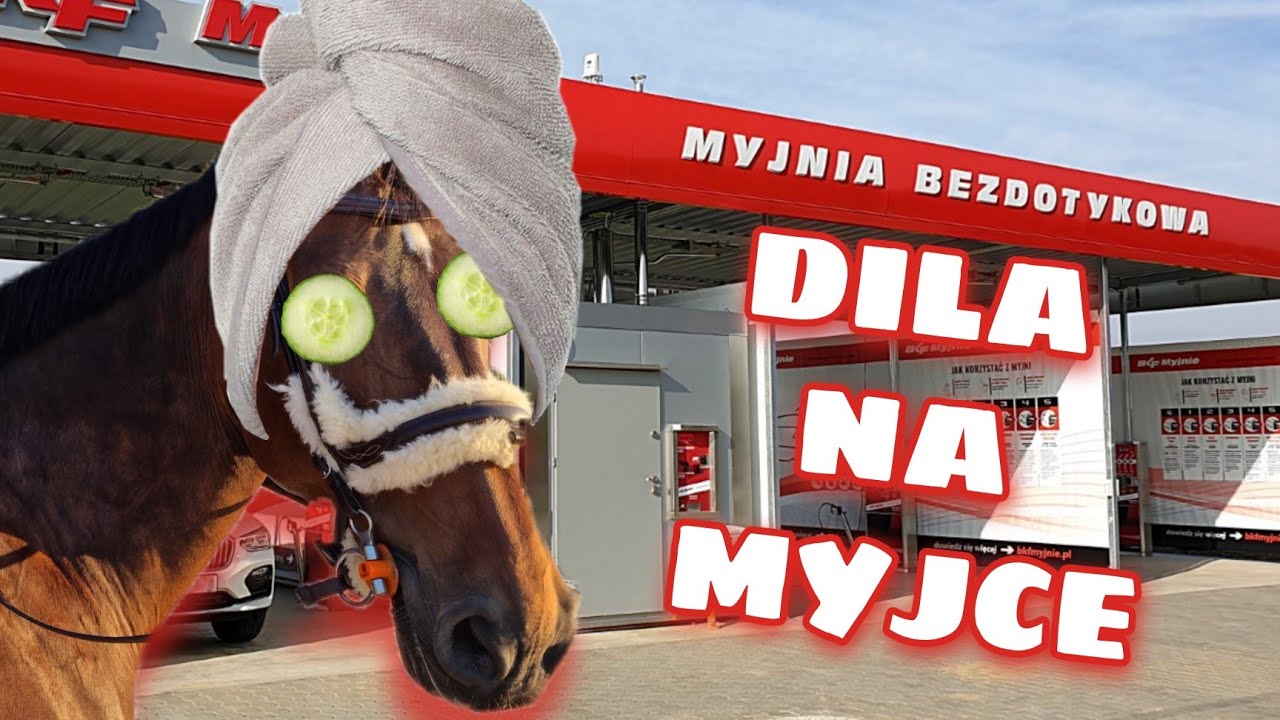 MOJA STAJENNA RUTYNA PRZED ZAWODAMI | DILKA NA MYJCE