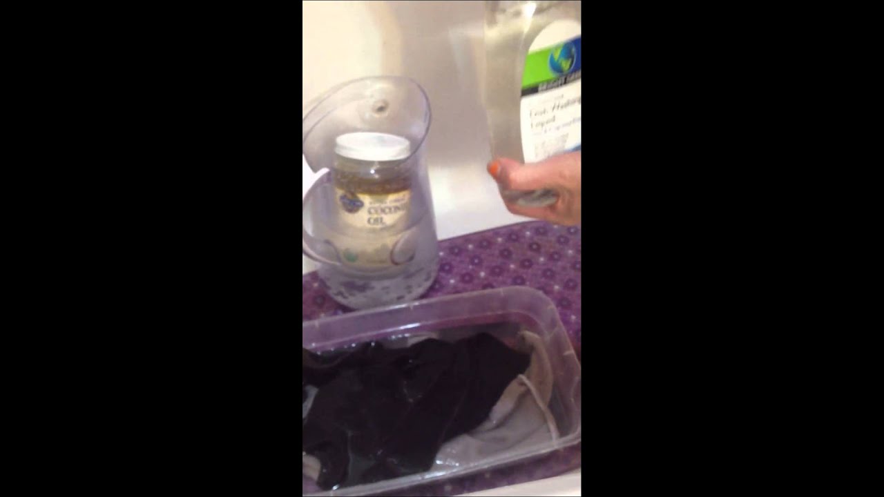 Part 1 of How to Bathe your Sphynx Cat