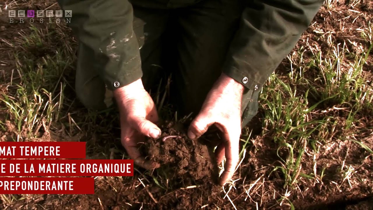 ECOSFIX - Quels rôles jouent les racines dans les processus d'érosion ?