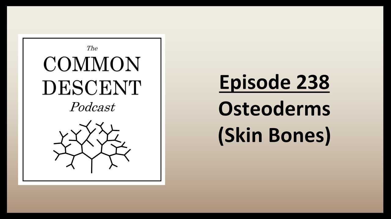 Episode 238 - Osteoderms (Skin Bones)
