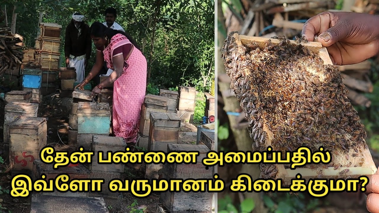 தேன் பண்ணை அமைப்பதில் இவ்ளோ வருமானம் கிடைக்குமா?‌ || honey bee farms in tamil nadu || uzhavan magan
